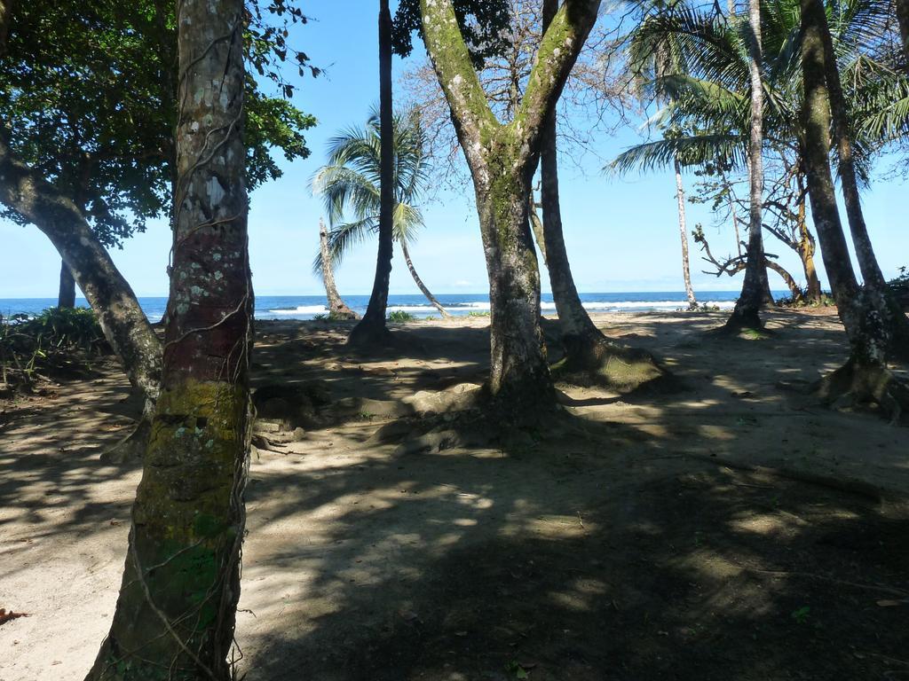 Yucca Beachfront Hotel Puerto Viejo de Talamanca Exterior photo