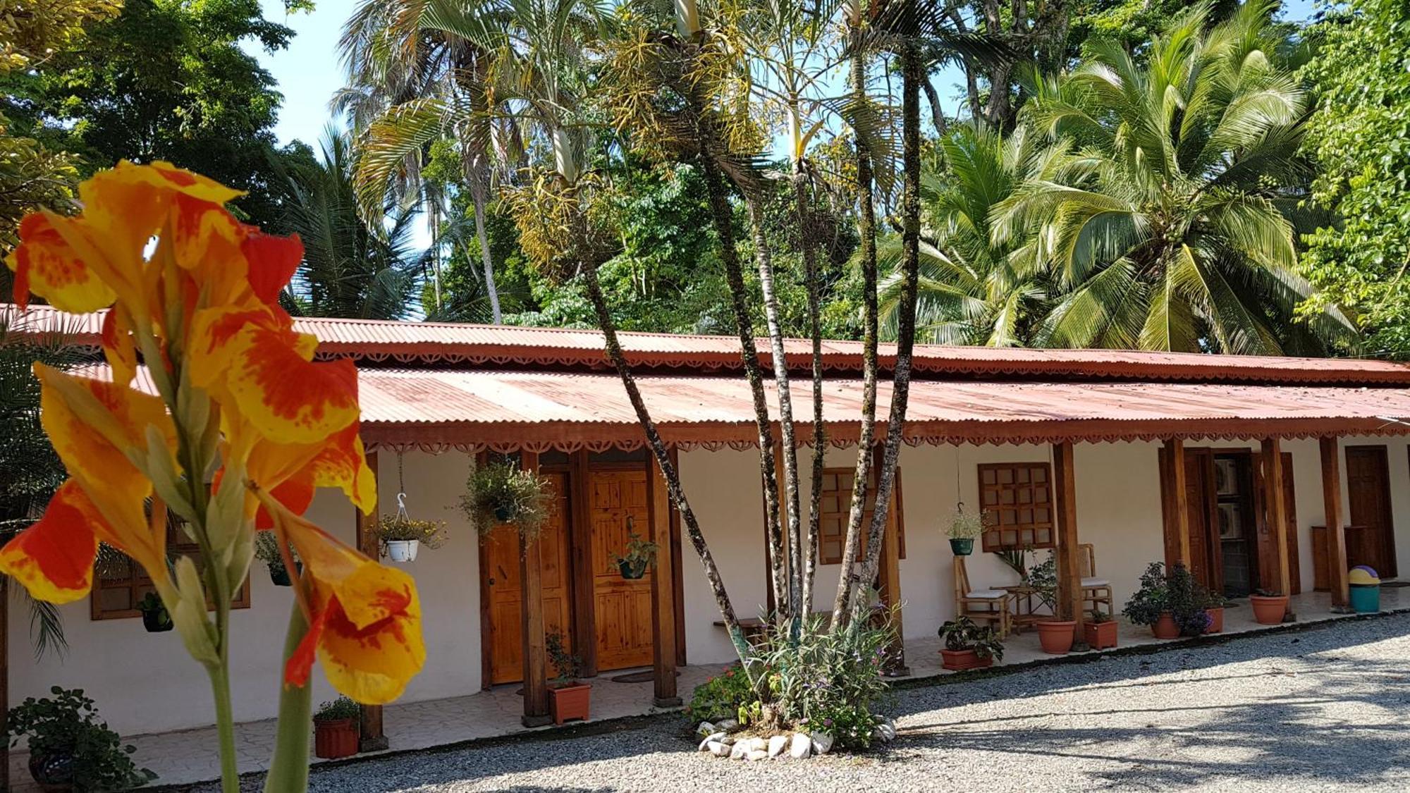 Yucca Beachfront Hotel Puerto Viejo de Talamanca Exterior photo