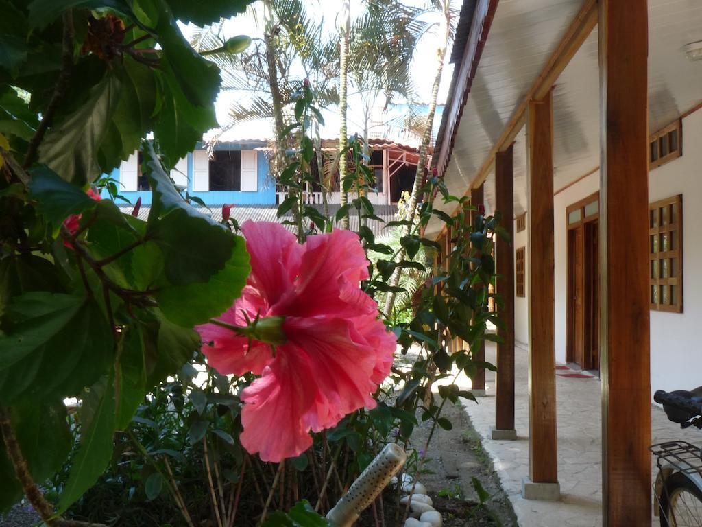 Yucca Beachfront Hotel Puerto Viejo de Talamanca Exterior photo